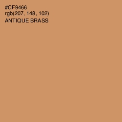 #CF9466 - Antique Brass Color Image